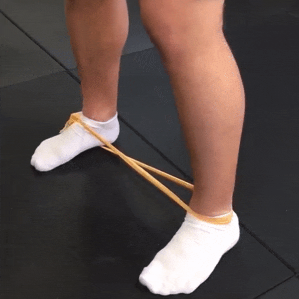 ankle-squat-fix