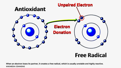 Oleo Can Thal Kicking Cancer S Ass Blog 6 The Virgin Olive Oiler