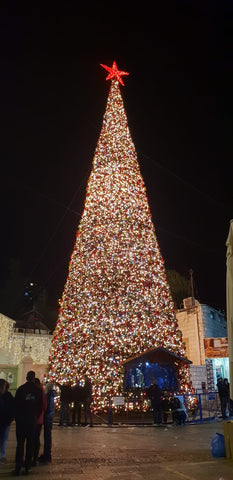 christmas tree in nazareth with paz creations