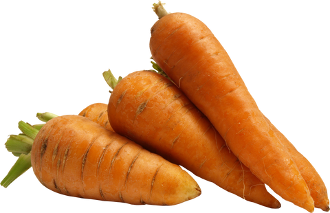 carrot paz creations