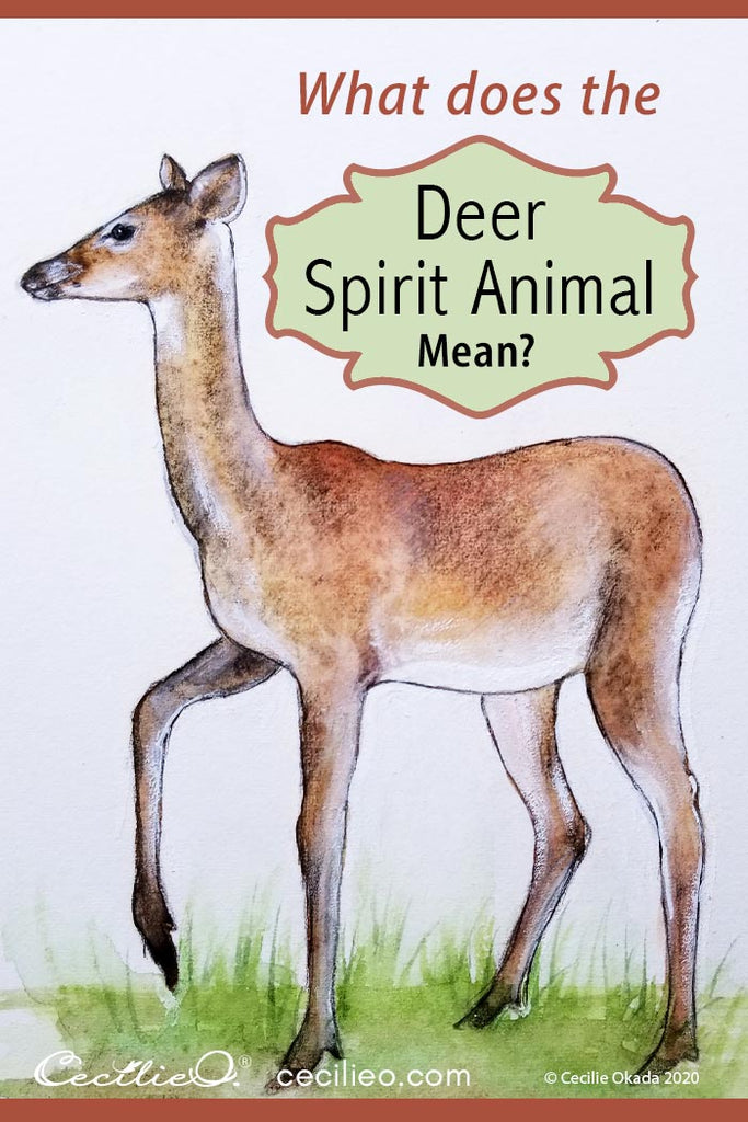 what does deer mean