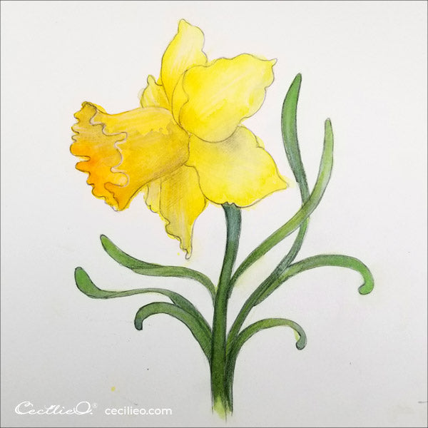 Completed watercolor painting of a daffodil flower