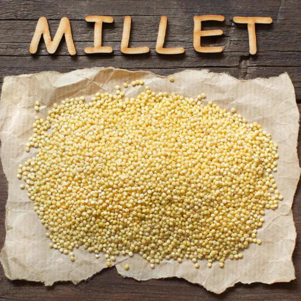 Types of Millets An Exhaustive Guide