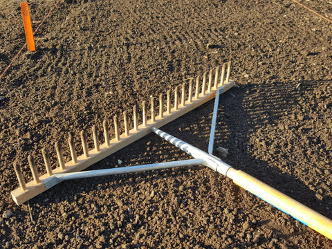 Rake the seedbed one last time