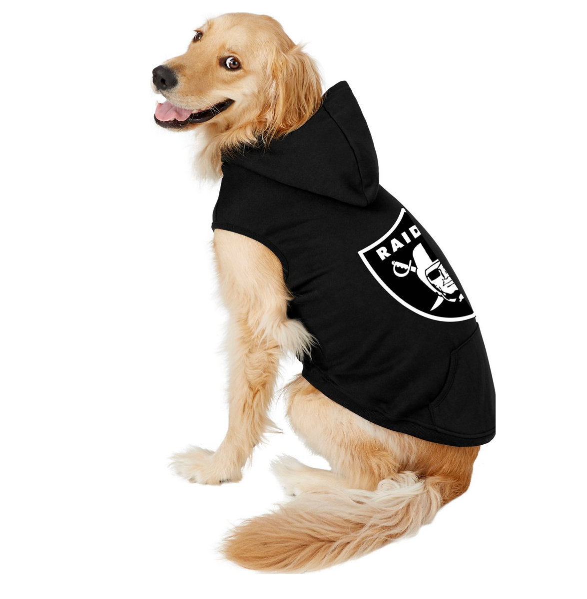 Oakland Raiders  Pet Products at Discount Pet Deals