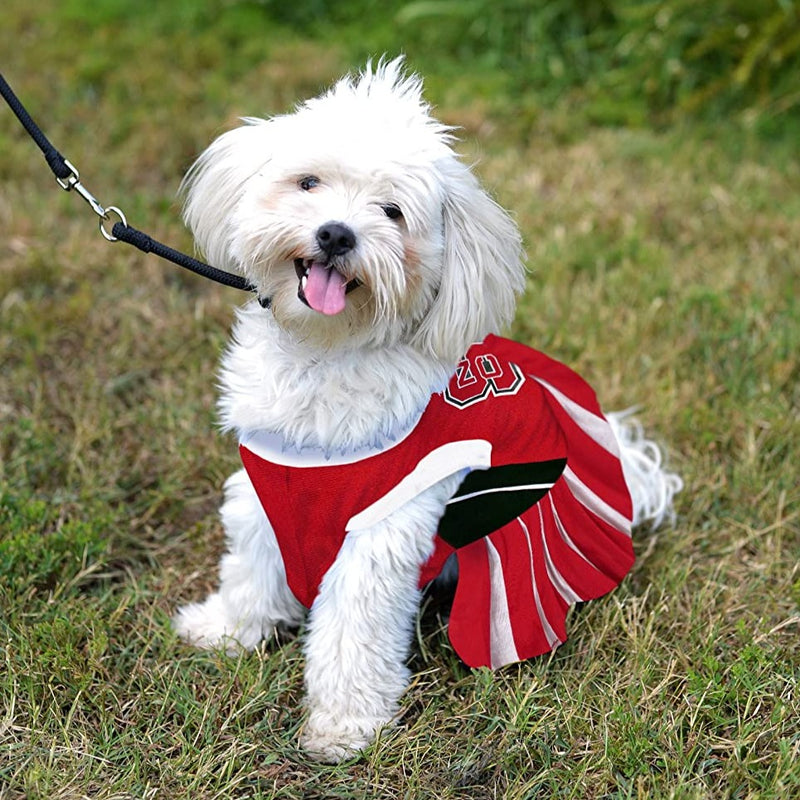 New Item Carolina Panthers Dog Dress 