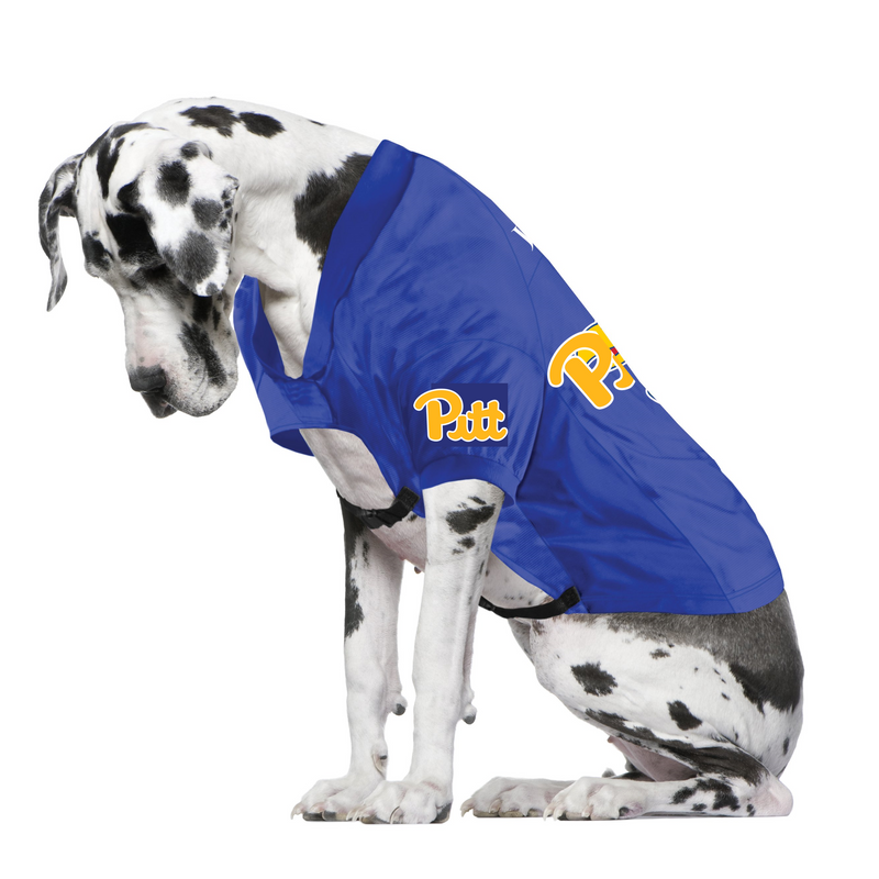 Pittsburgh Panthers Cat Jersey – 3 Red Rovers