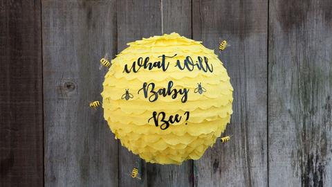 Bee hive prop to celebrate a gender reveal.