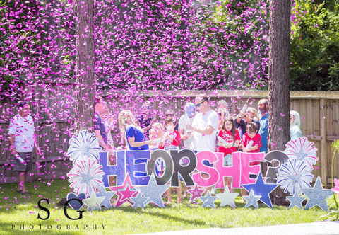 Couple posed behind a "he or she" sign with pink confetti being shot off by surrounding family and friends.