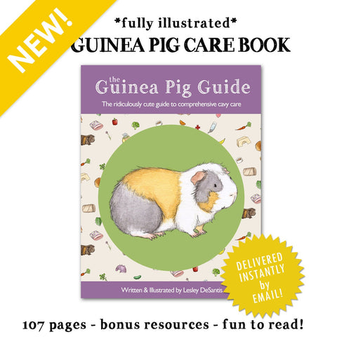Guinea Pig Guide