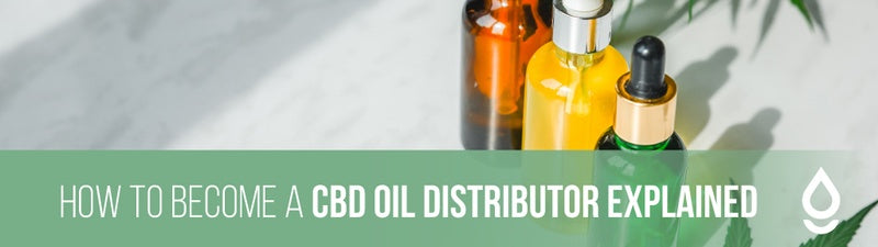 How to Become a CBD Oil Distributor Explained