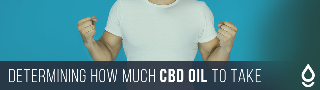 Determining How Much CBD Oil You Should Take