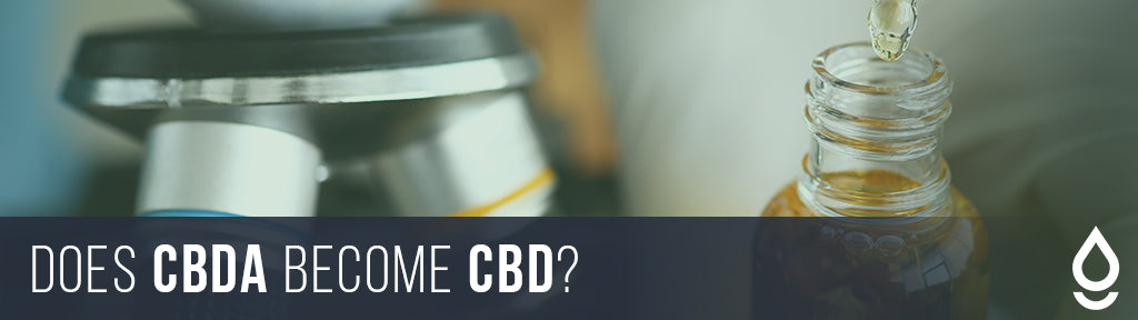 does cbda become cbd