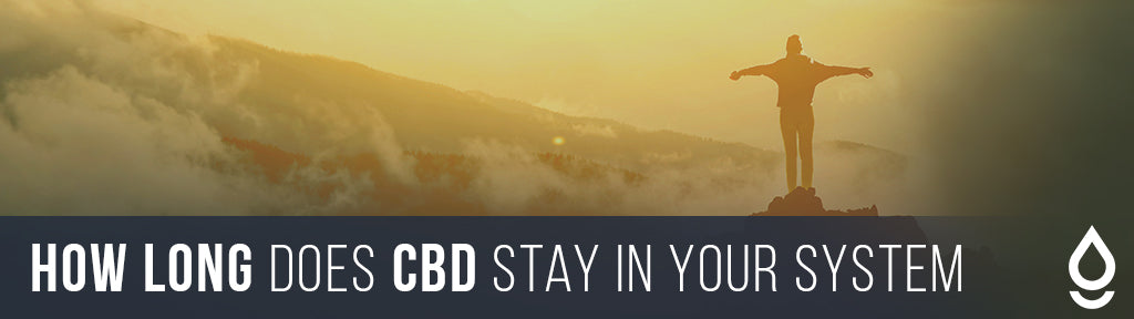 How Long Does CBD Stay in Your System