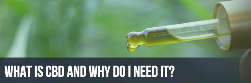 What Is CBD and Why Do I Need It?