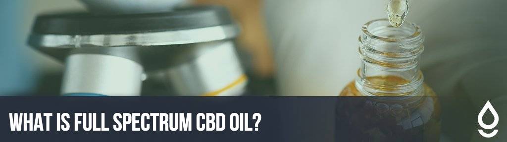 What is Full Spectrum CBD Oil