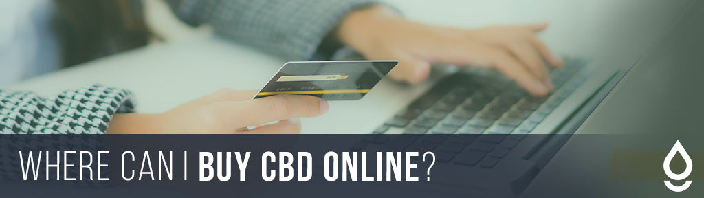 Where can I buy CBD online