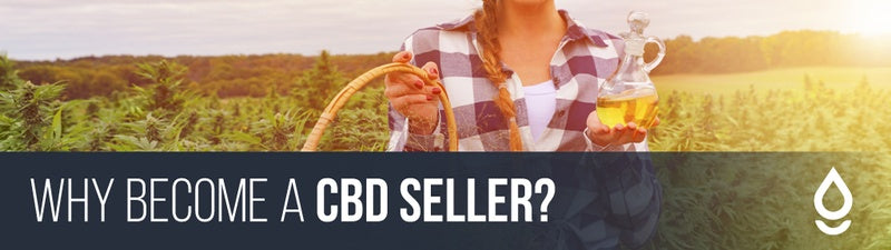 Why become a CBD seller 