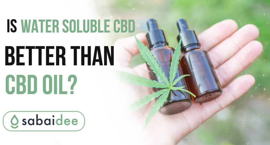 Is Water Soluble CBD Better Than CBD Oil?