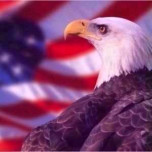 Bald Eagle and American Flag