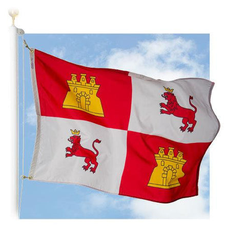 Lions and Castles Outdoor Flag
