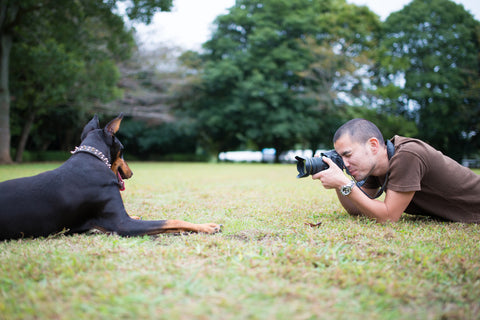 How To Take Perfect Insta-Worthy Pet Photos, Part One | Vet Organics