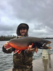 Male Splake trout, Michigan fishing, fishery, Michigan fish, great lakes trout, Michigan overboard