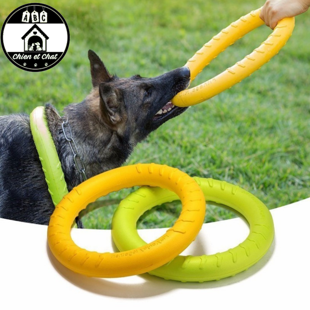 jouet chien indestructible