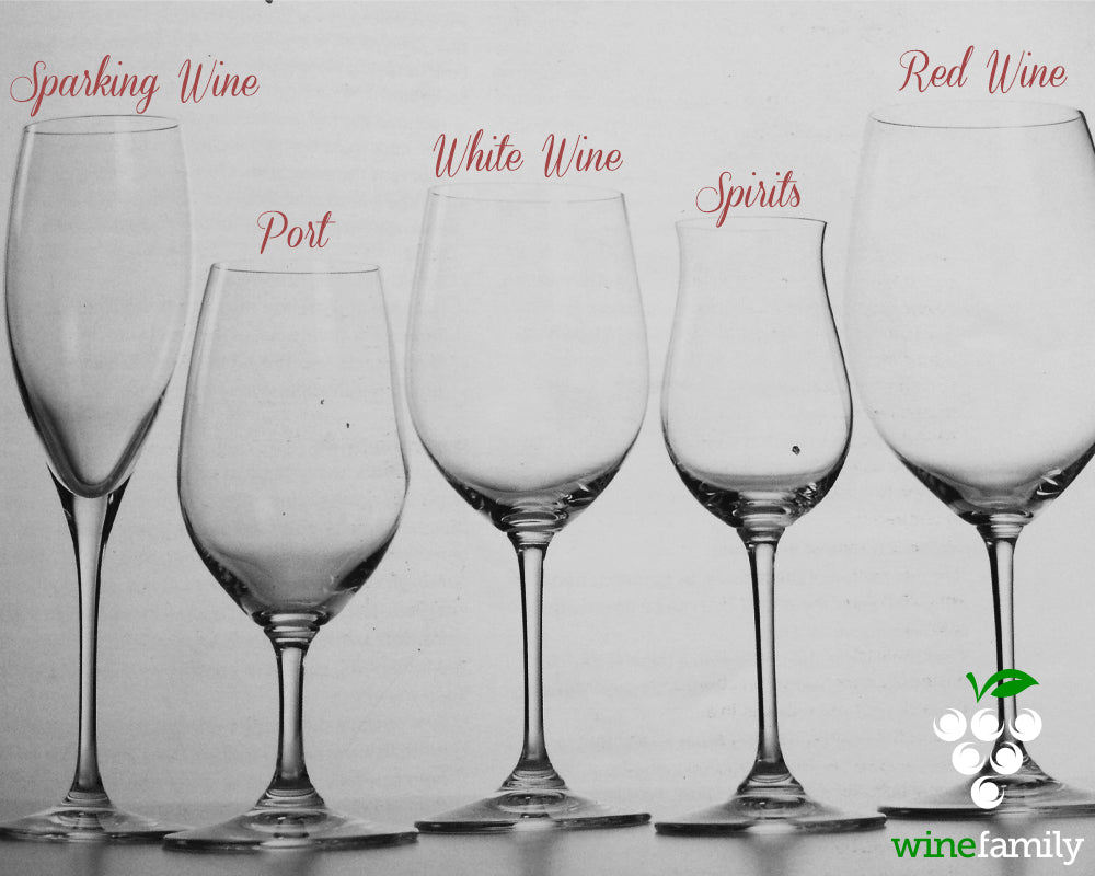 Types of Wine Glasses: A Guide to the Best Wine Glass Shapes