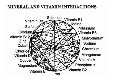 a chart showing how vitamins and minerals interact with each other