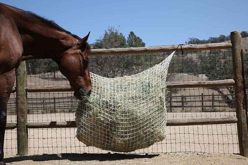Strong Soft Mess 3x3” Holes Reduces Waste Simulates Grazing Adjustable Travel Feeder for Trailer and Stall Majestic Ally 2 pcs Slow Feed 56” Hay Net for Horses Nylon Rope Hanging