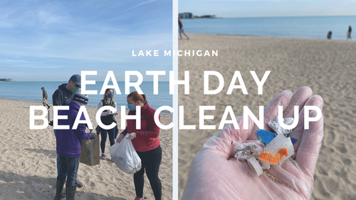 Cleaning Up Lake Michigan's Shore