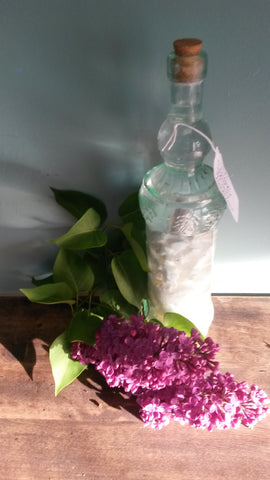 fresh lilac lays in front of glass bottle. Bottle contains scented pomade steeping in grain alcohol. 