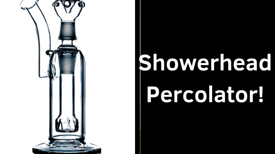 Showerhead Percolator Bong