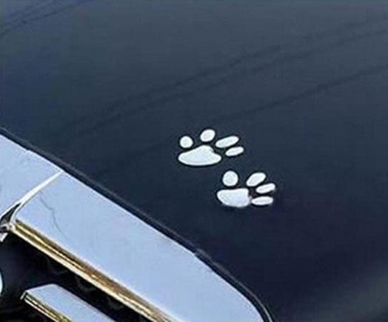 KitMax Pack of 12 Pairs 3D Cat Paw Dog Claw Auto Car Truck Laptop iPad Window Wall Motorcycle Decor Decal Sticker TM 