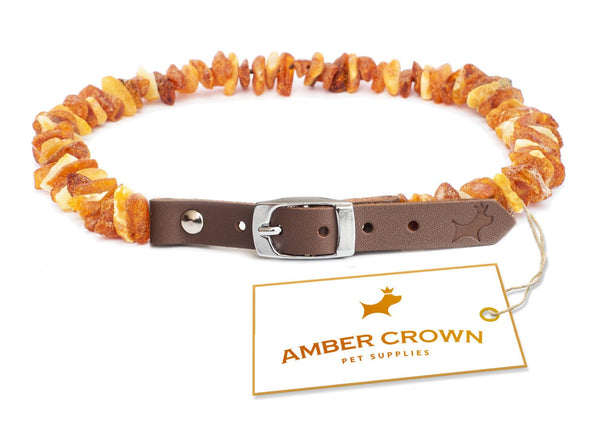 COLLAR SIZES 20-85 CM RAW BALTIC AMBER DOG NECKLACE WITH LEATHER STRAP 