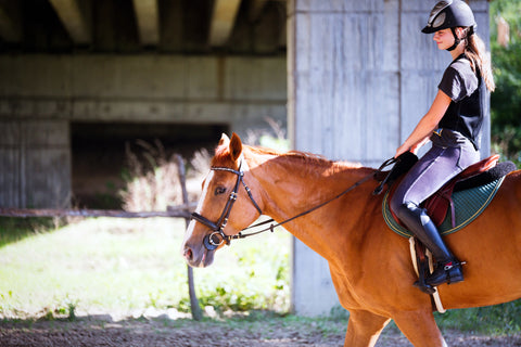 Maryland Saddlery Fit Guides