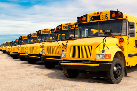 School Buses available for charter service