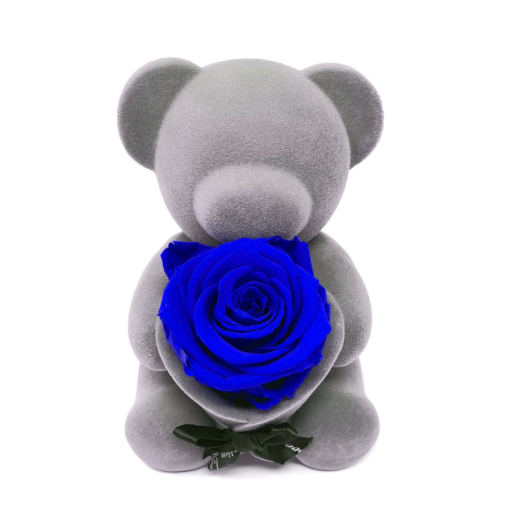 royal blue rose bear