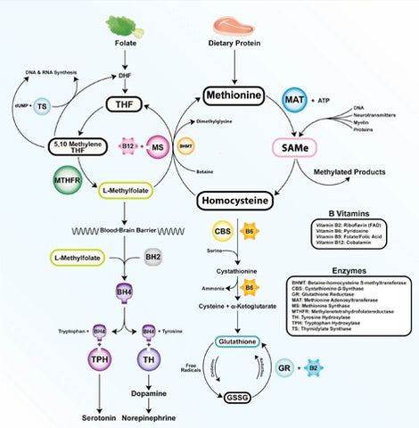 Correlation between Nutritional Deficiencies and Mental Health