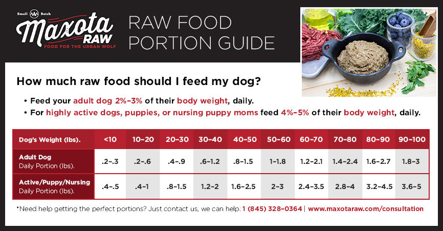 Raw Food Diet For Dogs Weight Chart