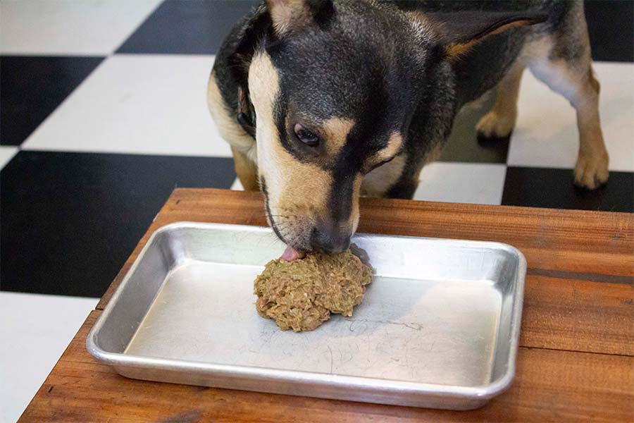 Maxota Raw - How to transition your pet from kibble to a raw food B.A.R.F. diet.