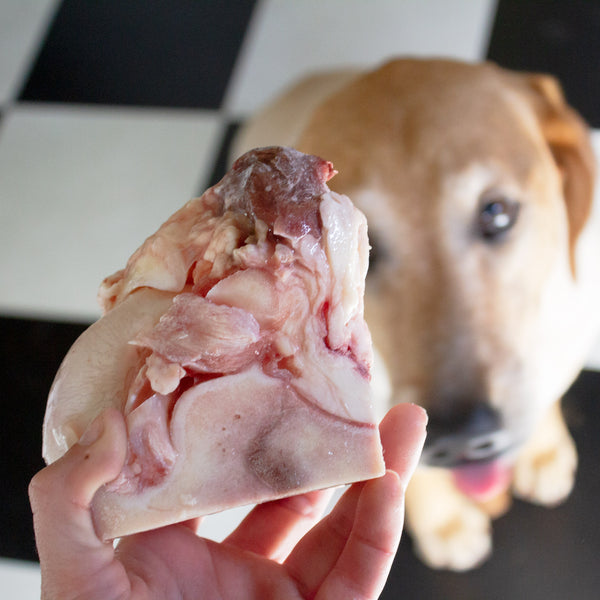 are cow bones safe for dogs