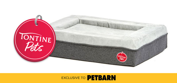 Introducing Tontine Pets Tontine Bedding Australia