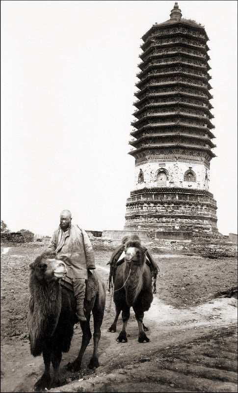 Han-Shan: The Cold Mountain Poems