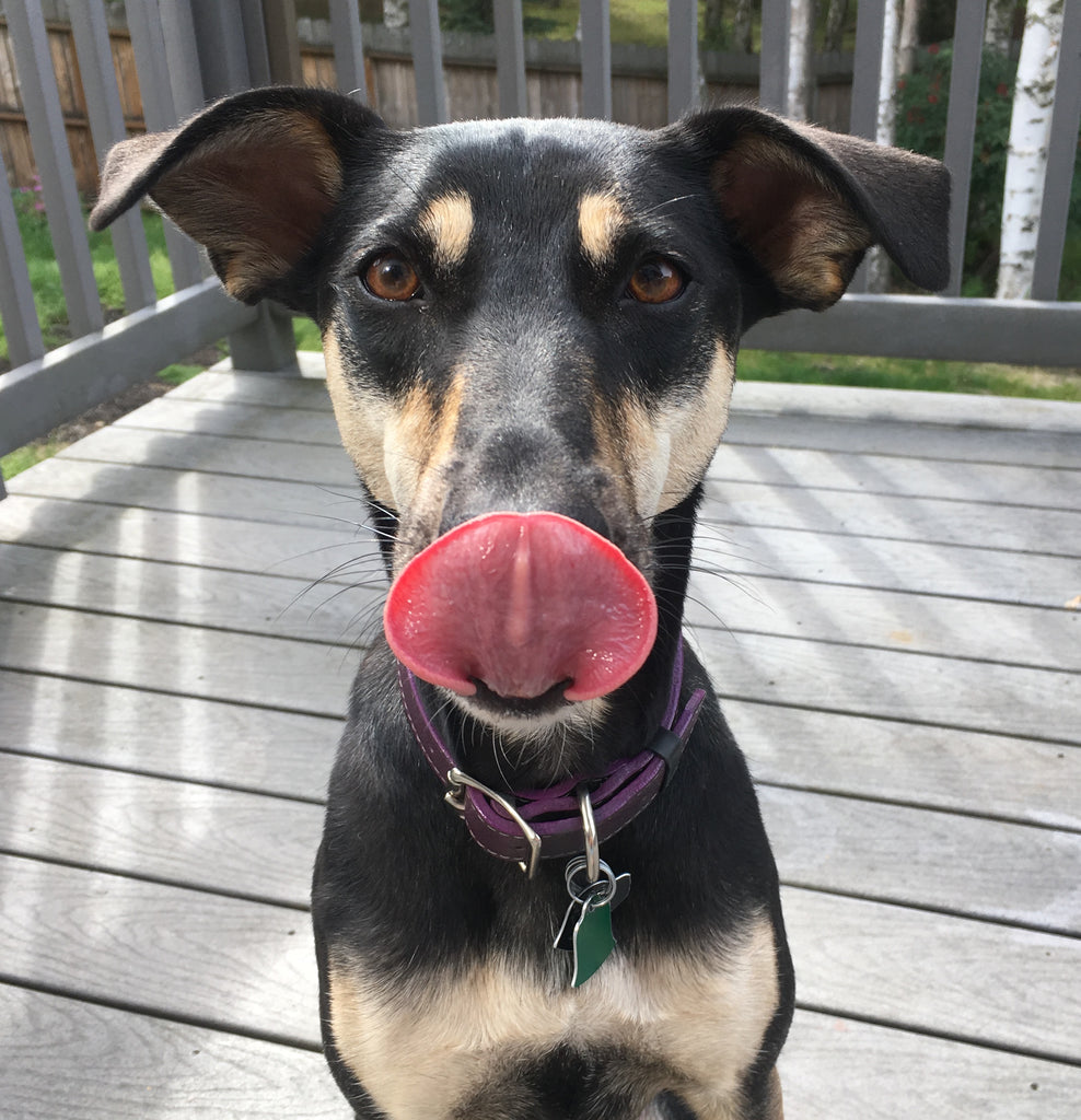Piper's Tongue