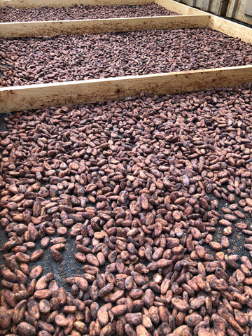 Maui Kuia Estate Chocolate Cacao