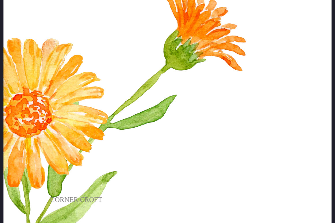 watercolor-herb-pot-marigold-flowers-printable-corner-croft
