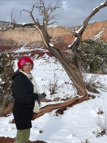 O'Keeffe's Ghost Ranch