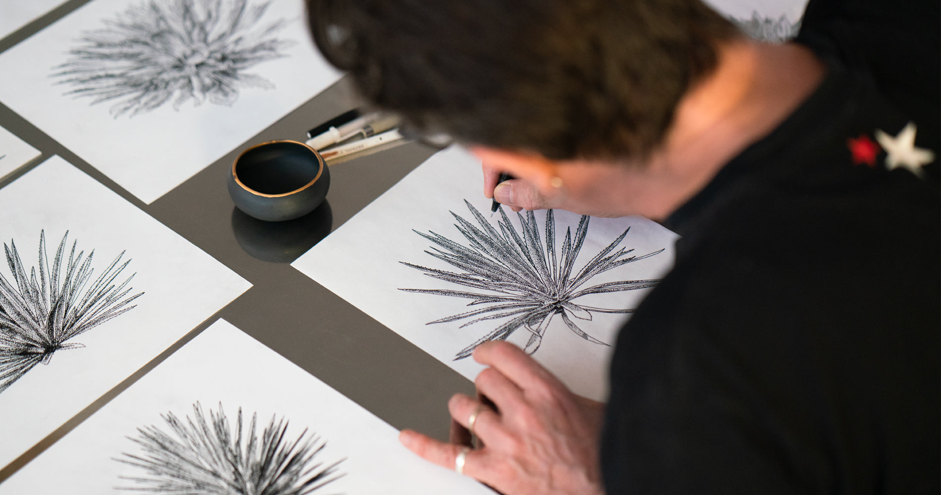 STEPHEN DRAWING AGAVE ILLUSTRATIONS